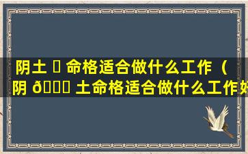 阴土 ☘ 命格适合做什么工作（阴 🐛 土命格适合做什么工作好）